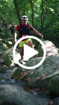 BIB:  <button type="button" onclick="openModal(28052747)" class="btn btn-primary btn-sm float-right" data-toggle="modal" data-target=".modal-high-quality">
                <i class="fa fa-download"></i> Download
                </button>